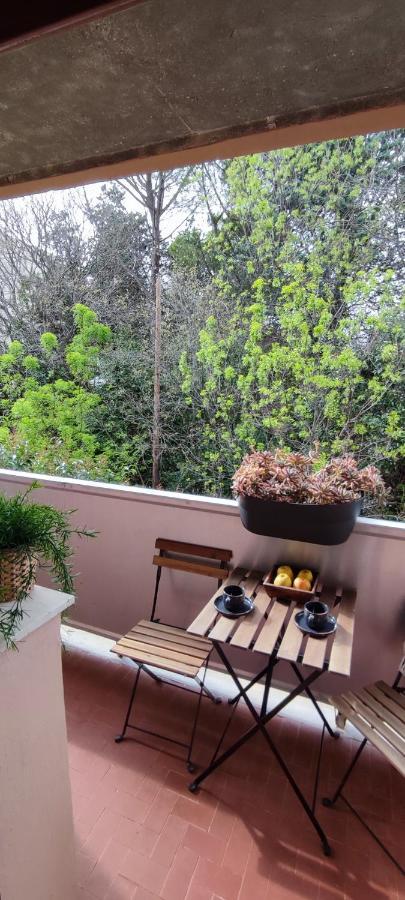 Michelet Studio Climatise Avec Balcon Et Parking Ferme Montpellier Eksteriør billede